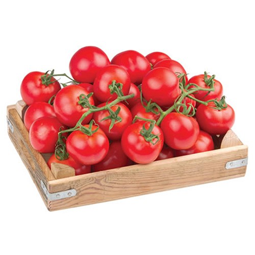 E-Ticaret Altyapısı | Güçlü ve Hazır Sistemler – SOLVES