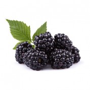 Meyve test ürünü 09